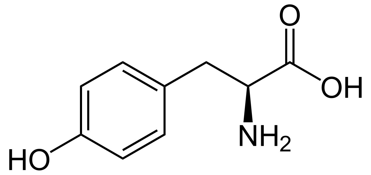 Molécule de la tyrosine