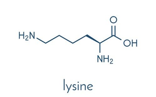 lysine