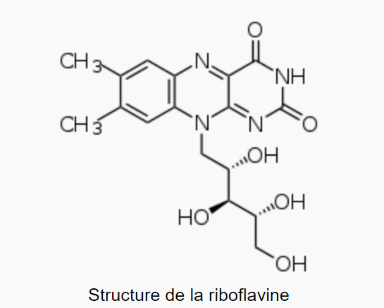 Structure de la vitamine B2