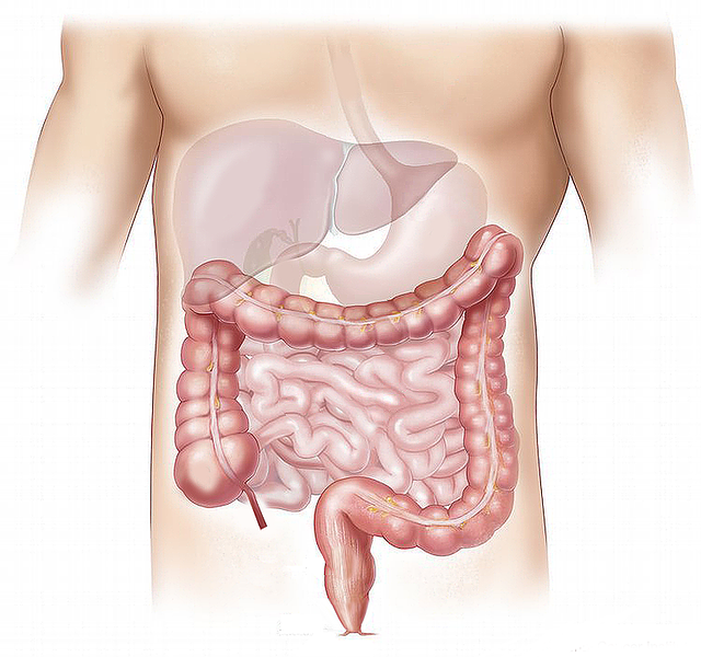 L'hypnose est très efficace pour soulager le syndrome du colon irritable.