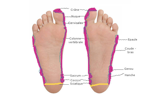 R flexologie plantaire Dos Protocole de soins Par une