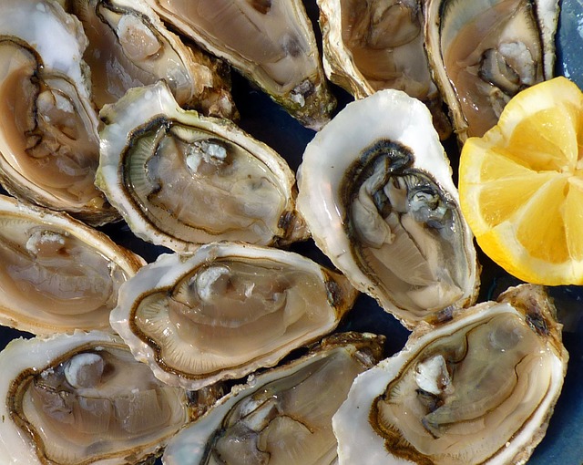 Huître: dans l'alimentation, le zinc est très présent dans les fruits de mer.