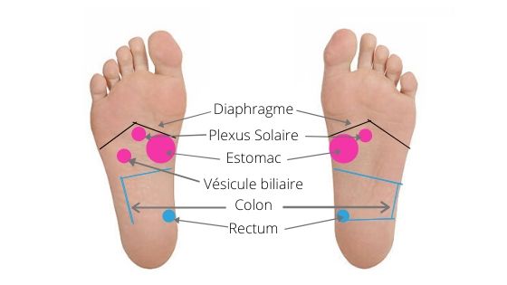 Reflexologie Plantaire Constipation Protocole De Soins Doctonat