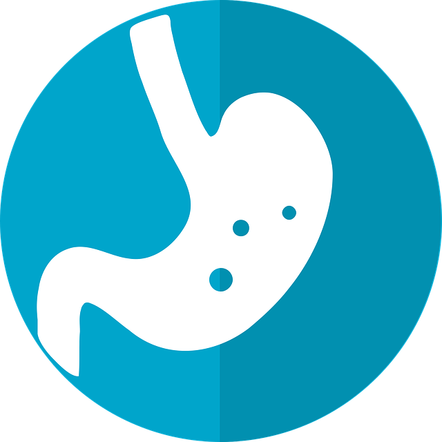 Système digestif: la réflexologie plantaire permet de soigner les troubles de la digestion.