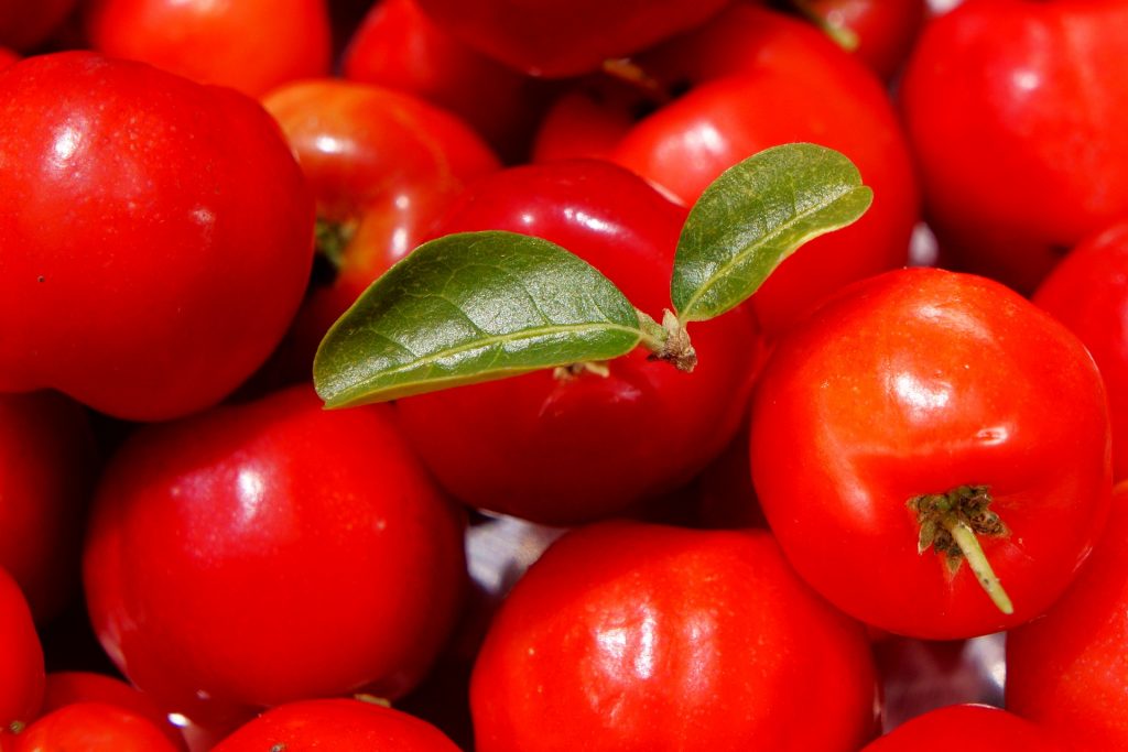 L'acérola est une petite cerise rouge riche en vitamine C, aux nombreux bienfaits.