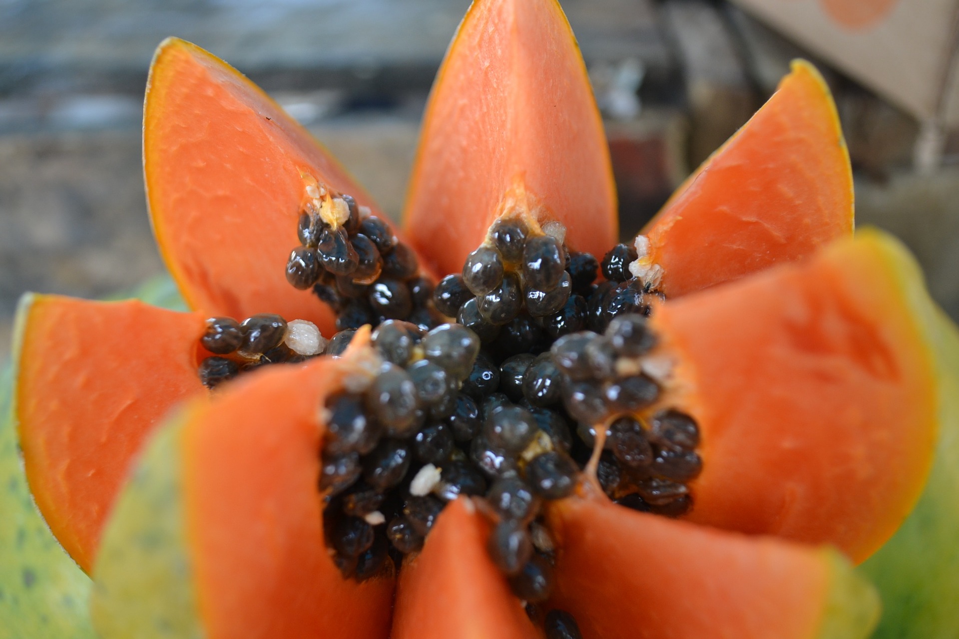 Morceau de papaye: bienfaits et effets secondaires de la papaïne, son principal constituant.