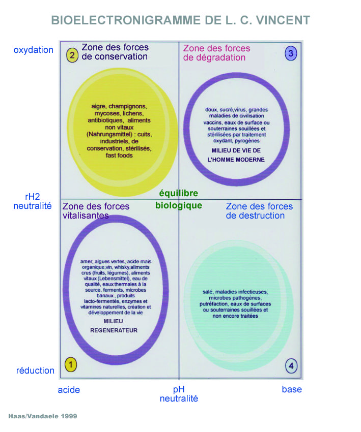 Bioélectronigramme de L.C. Vincent