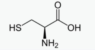 Molécule de cystéine: bienfaits et dosage de cet acide aminé.