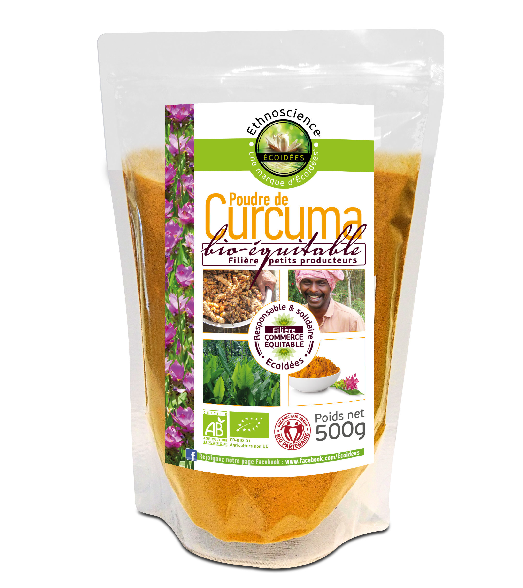 Curcuma bio poudre – Ecoidees