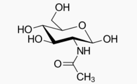 Molécule de N-acétylglucosamine: bienfaits, dosage et effets secondaires de ce composé.