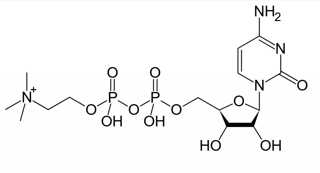 Une molécule de choline: définition, bienfaits et effets secondaires de ce nutriment.