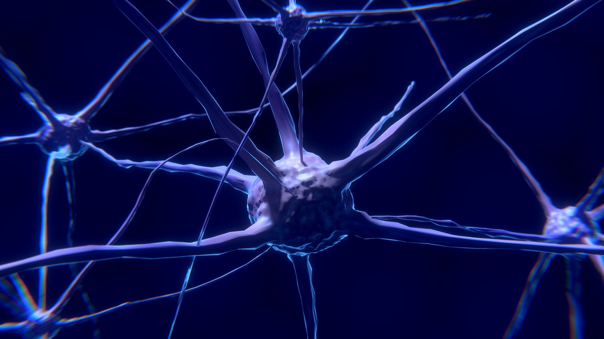 Neurones du cerveau: de la choline et de l'inositol pour un bon cerveau.