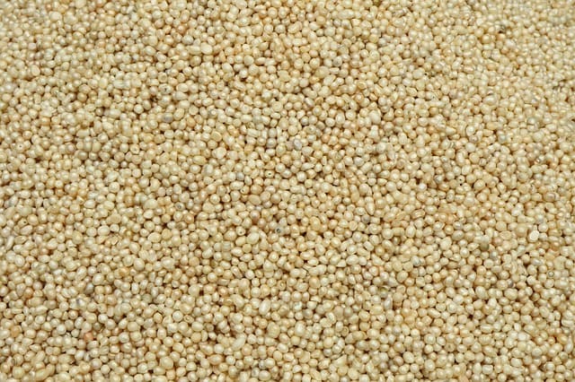 Perles qui permettent de fabriquer la poudre de perle (nacre).