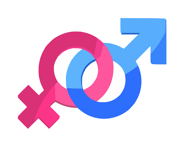 Symboles homme ou femme représentant l'identité sexuelle.