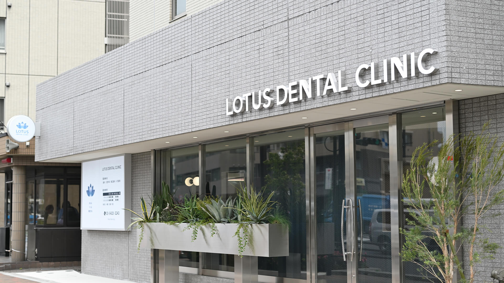 LOTUS DENTAL CLINIC