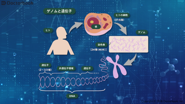 がん遺伝子パネル検査が保険適用に！どんなことが期待できる？