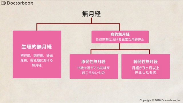 体重 減少 性 無 月経