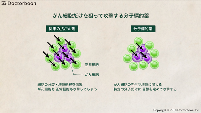 分子標的薬について