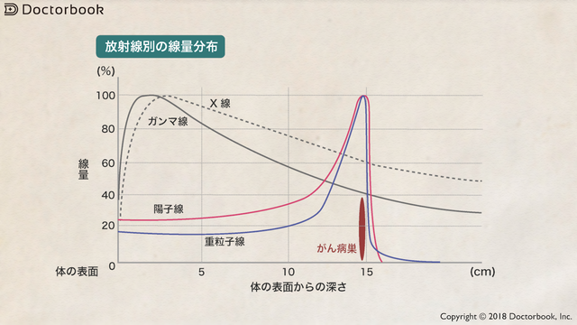 粒子線の線量分布