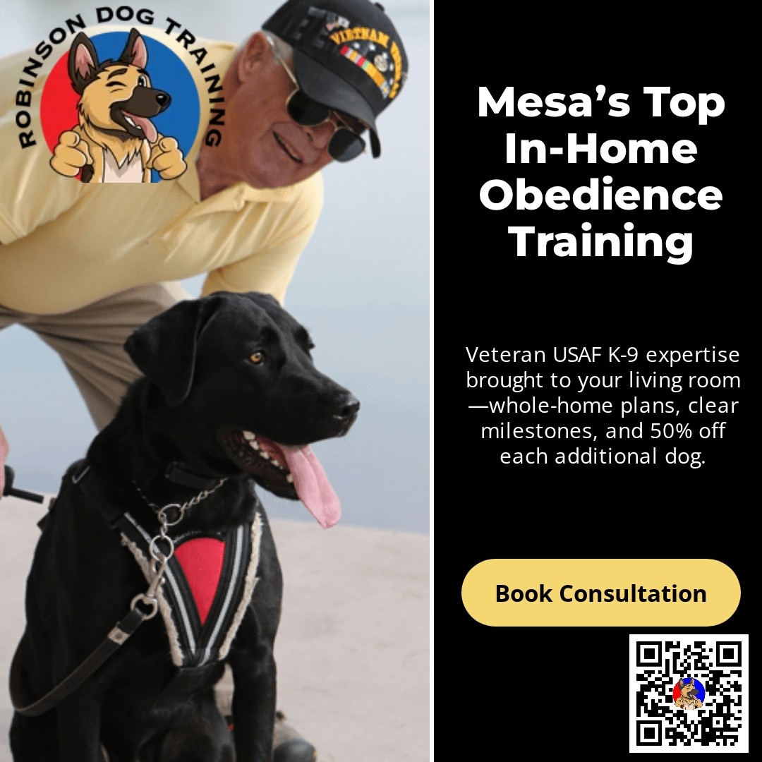 Aggression & Reactivity Rehabilitation