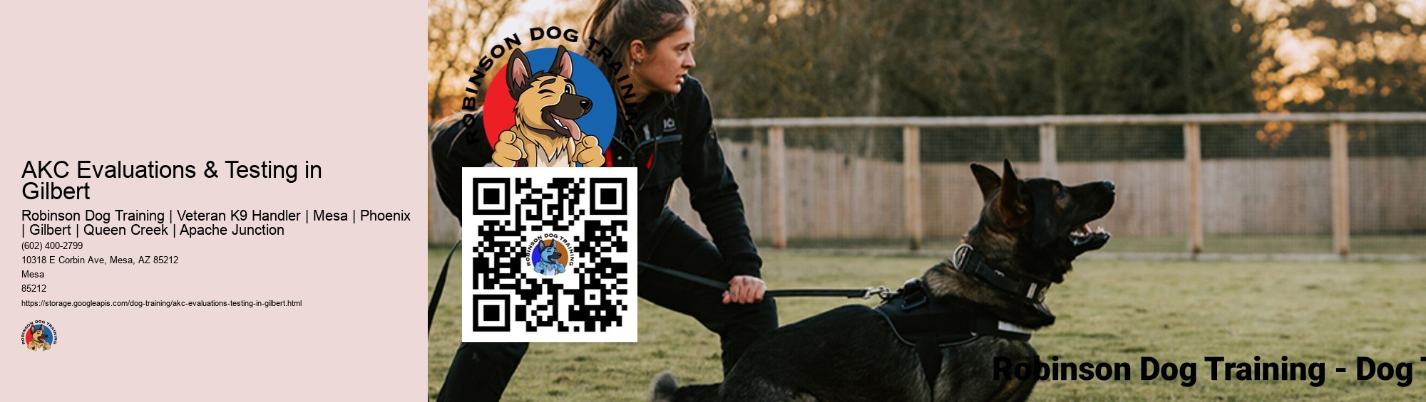 AKC Evaluations & Testing in Gilbert