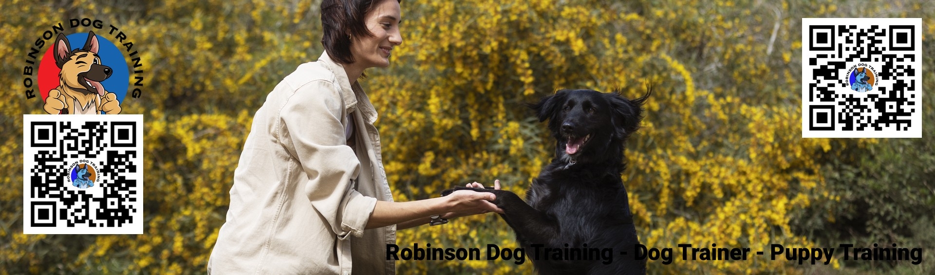 Dog Aggression Training in Gilbert