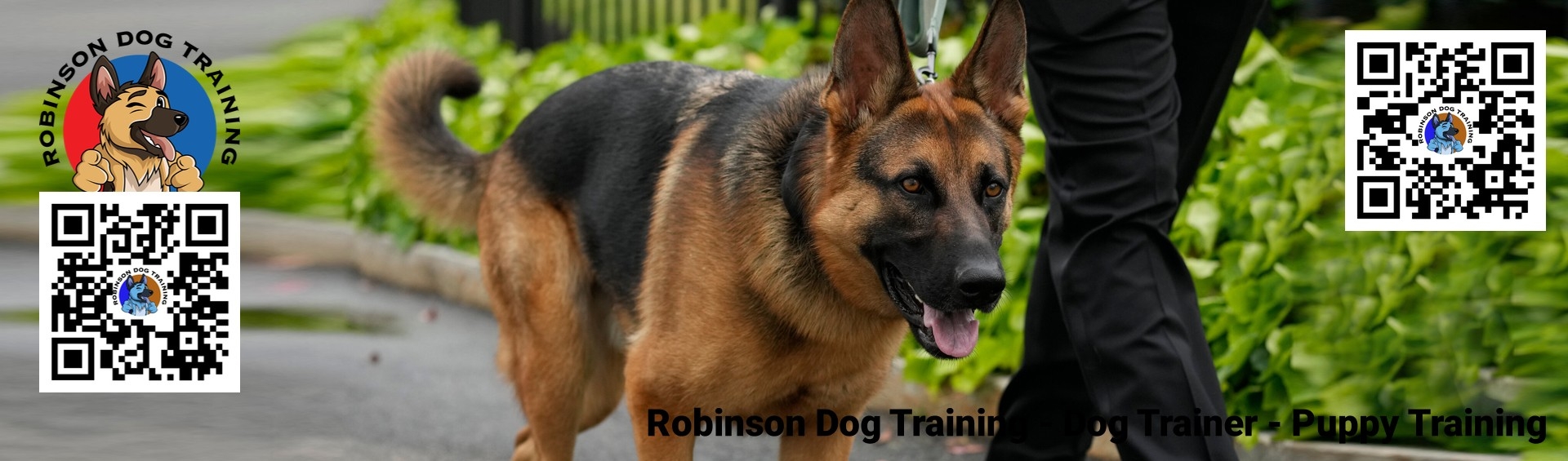 Puppy Trainer in Gilbert