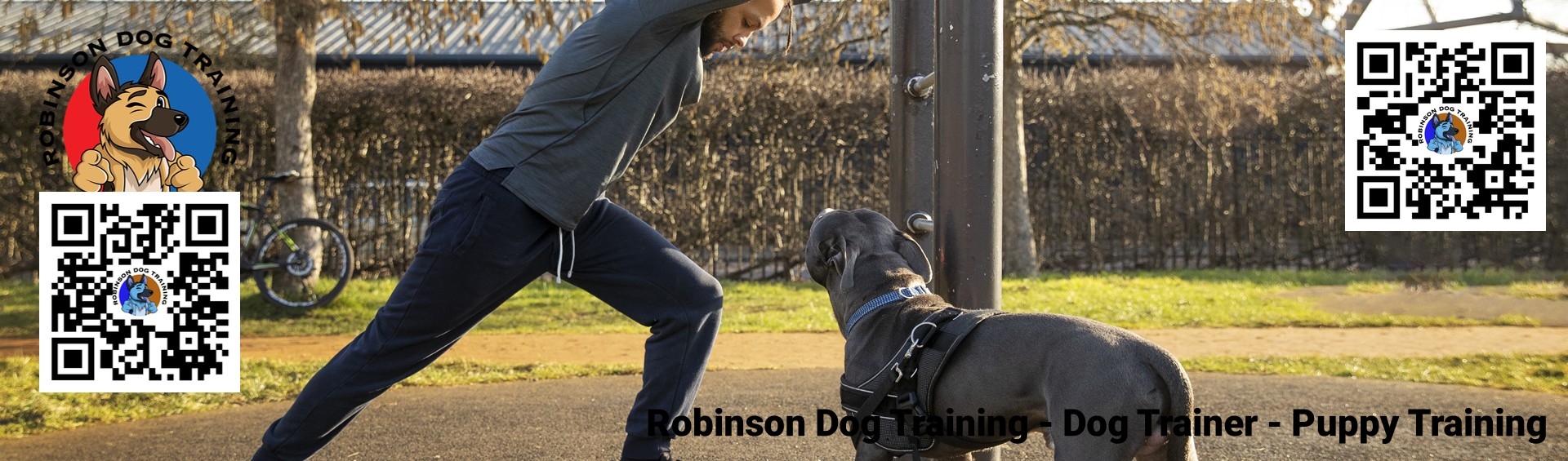 Puppy Training in Gilbert