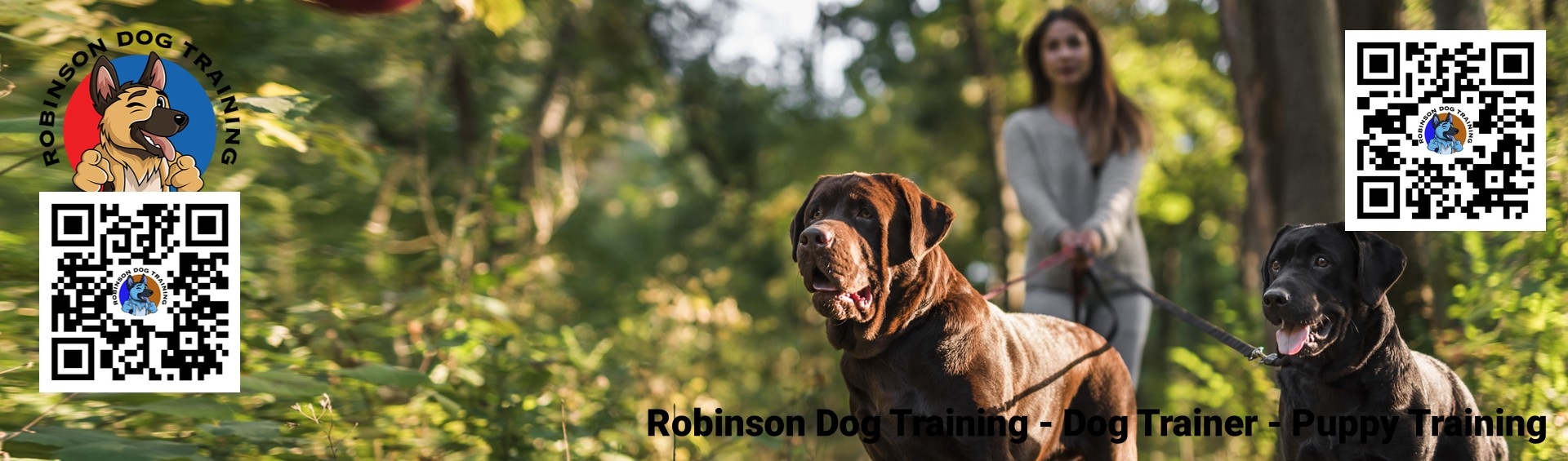Rattlesnake Avoidance Dog Trainer in Gilbert