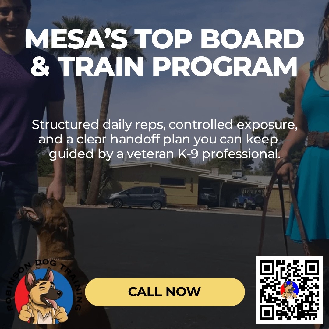 Service Dog Training in Gilbert