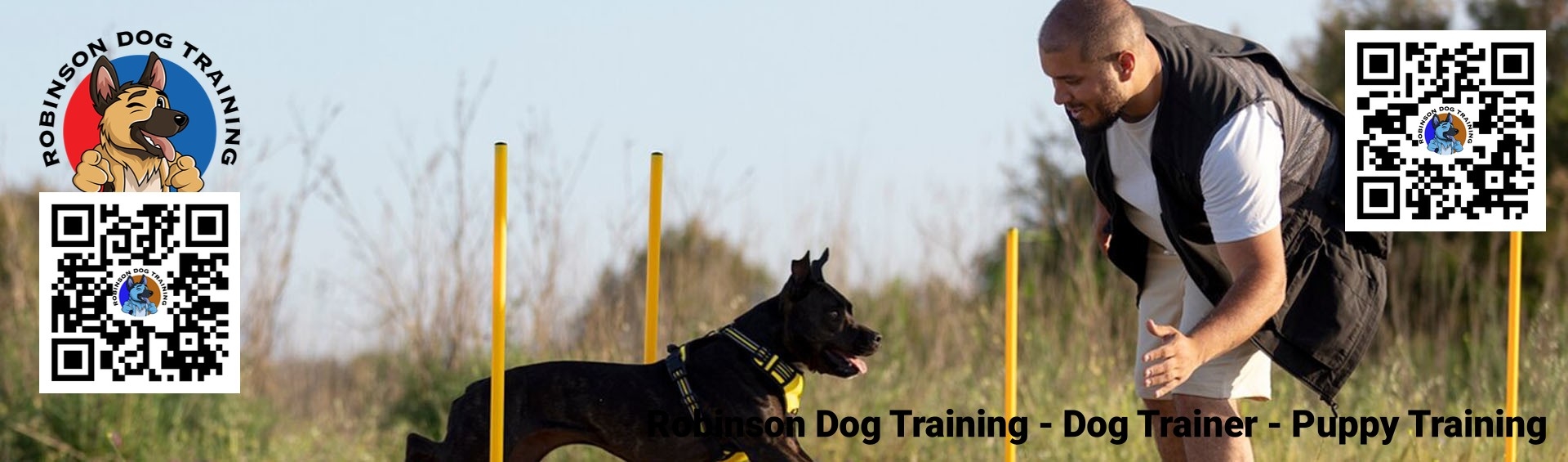 Therapy Dog Trainer in Gilbert