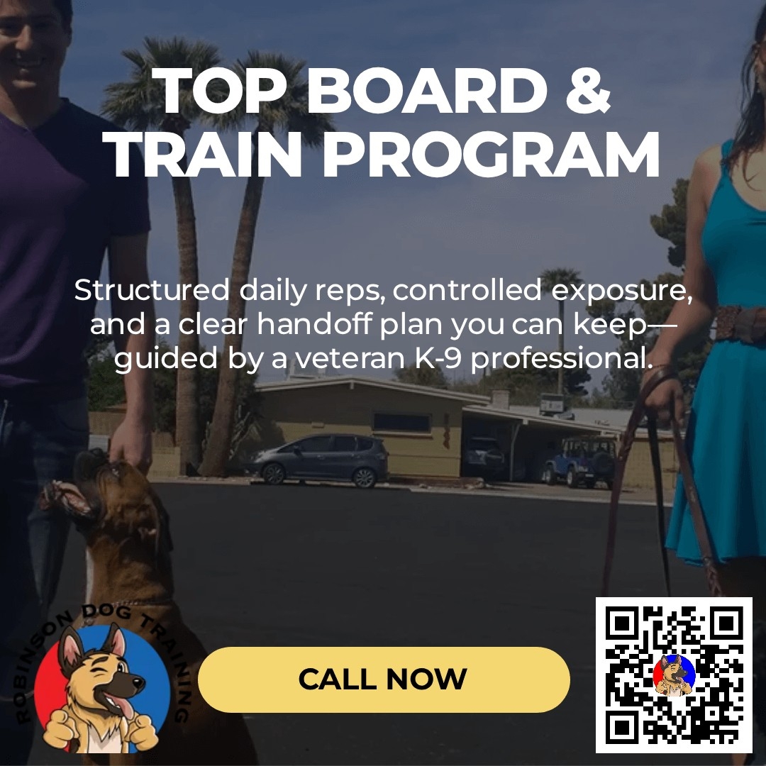 Therapy Dog Training in Gilbert