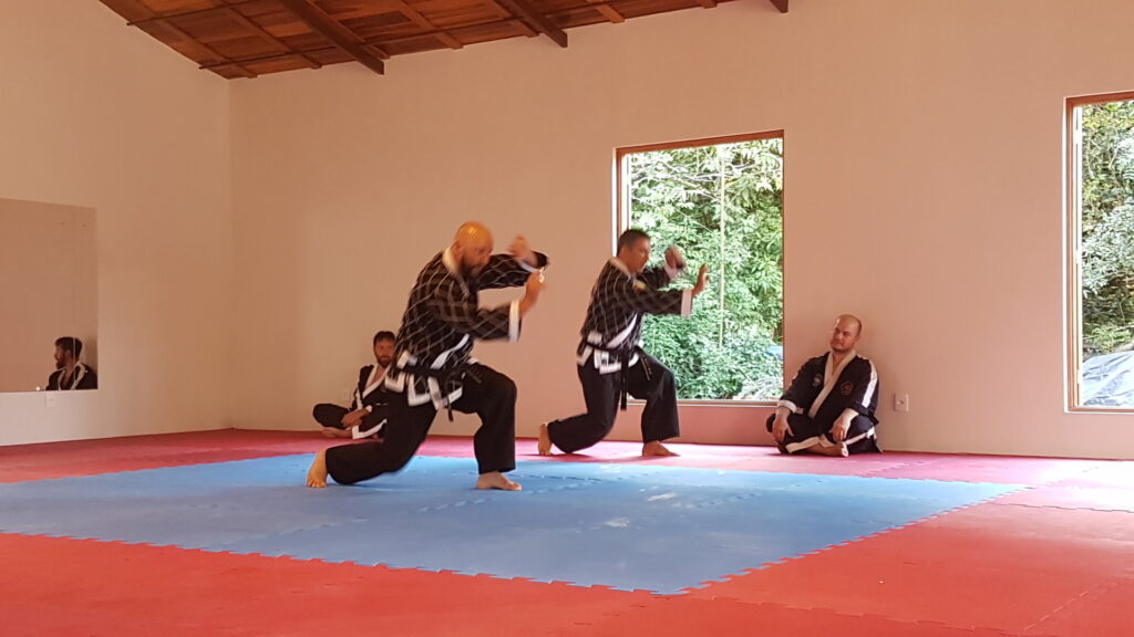 A história do Hapkido, arte marcial coreana.