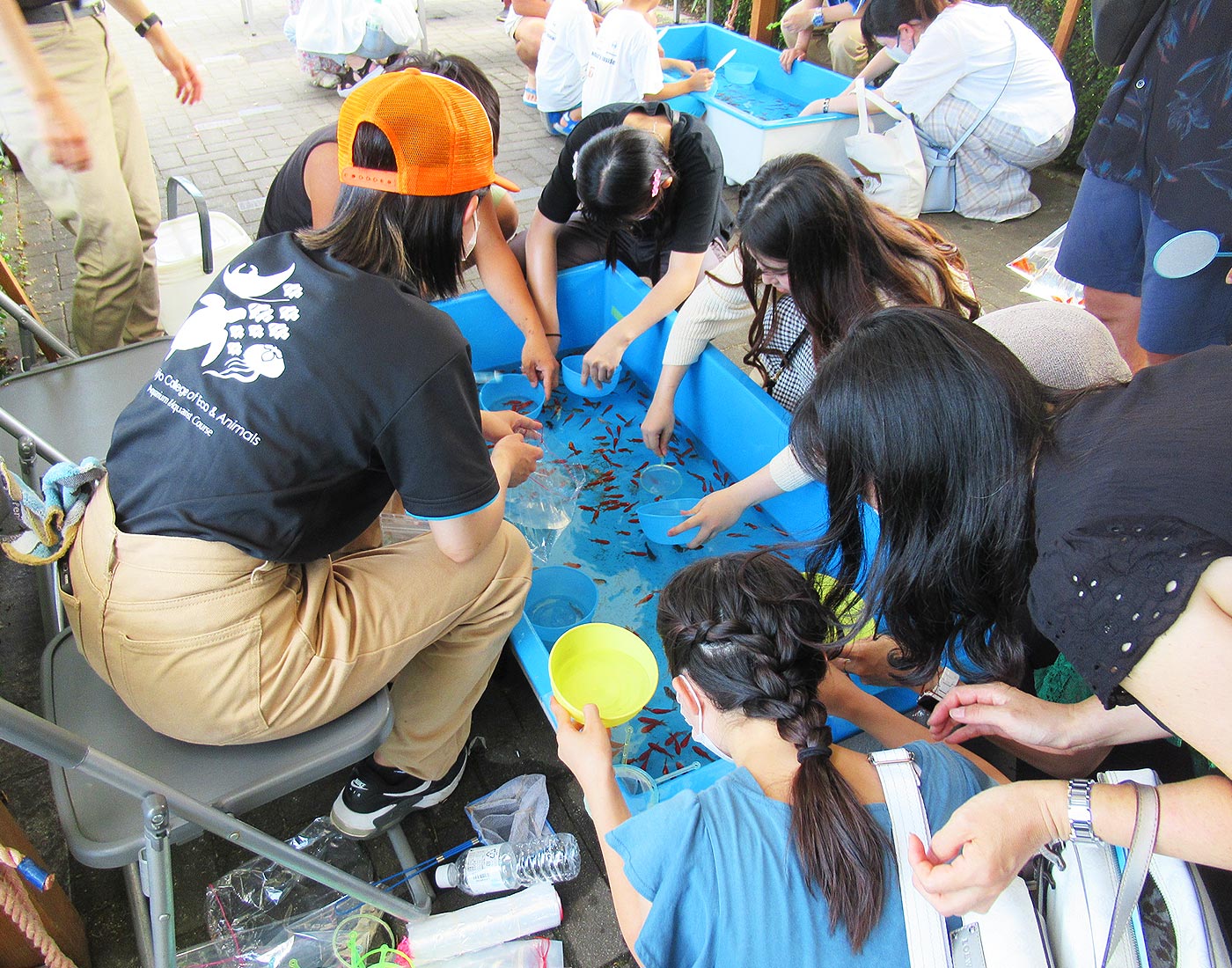 53rd Edogawa Local Goldfish Festival