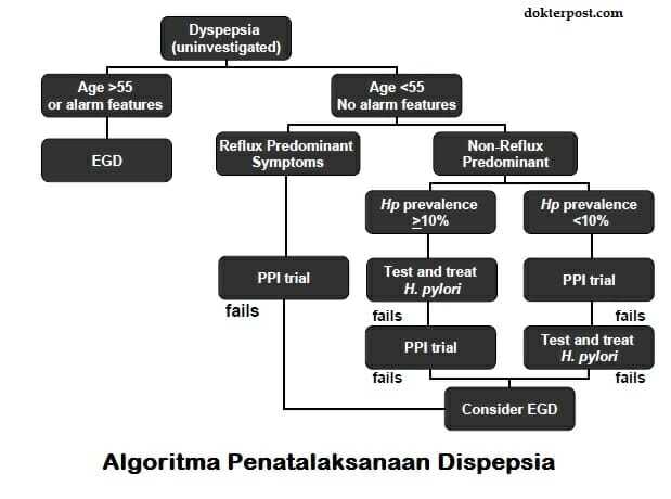 Algoritma Dispepsia stripalllossy1ssl1