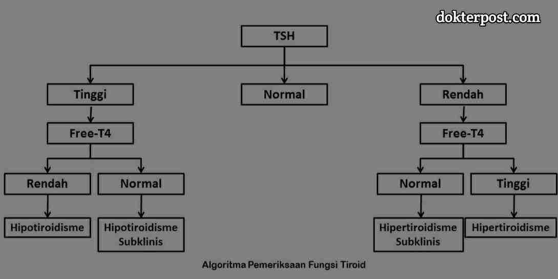 Algoritma Pemeriksaan Fungsi Tiroid stripalllossy1ssl1