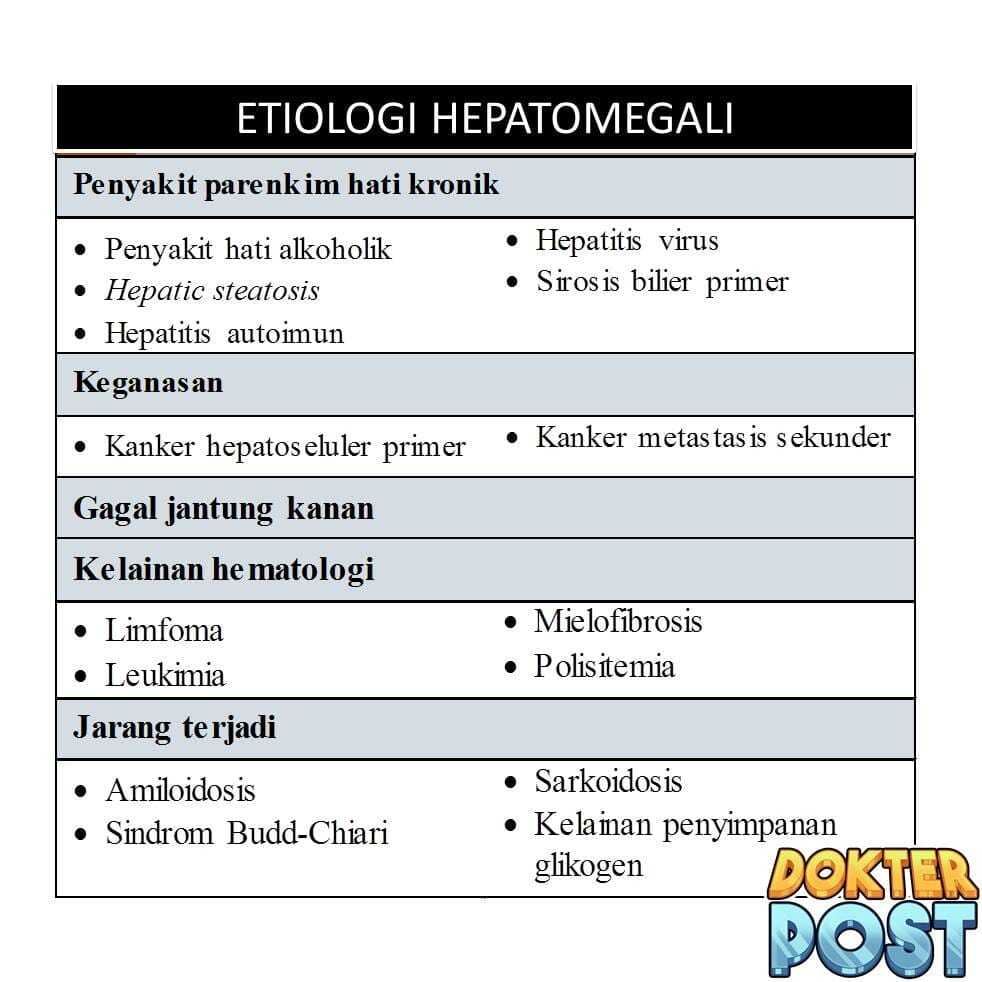 Etiologi Hepatomegali 1 stripalllossy1ssl1