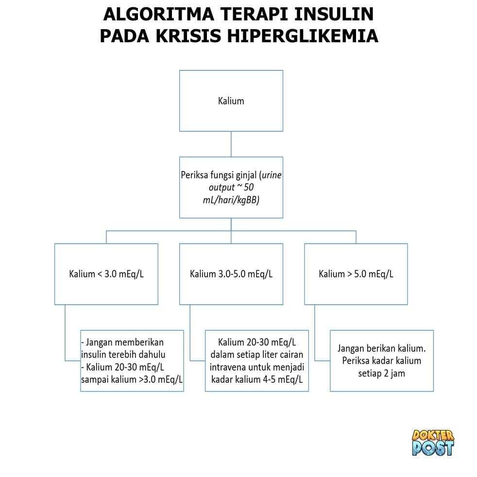 Algoritma koreksi kalium krisis hiperglikemia stripalllossy1ssl1