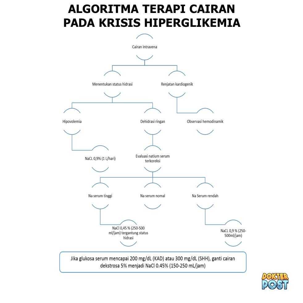 Algoritma terapi cairan krisis hiperglikemia stripalllossy1ssl1