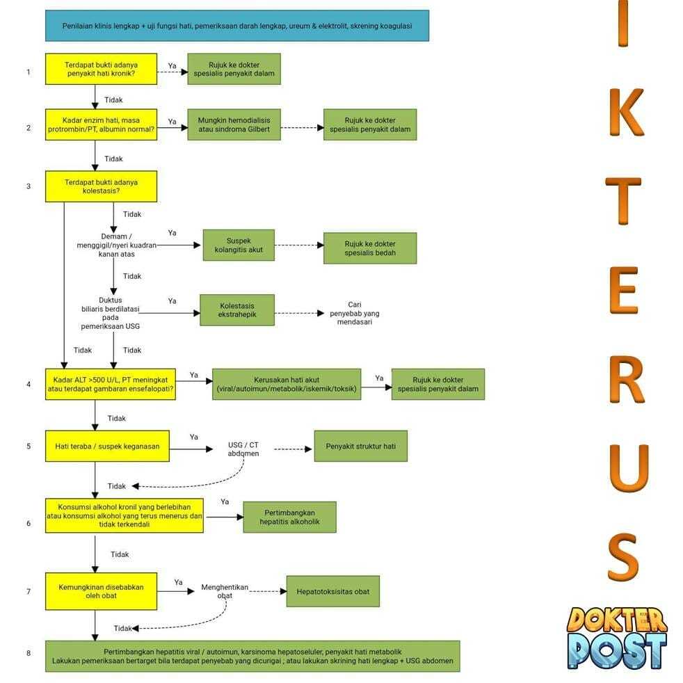 Alur diagnosis klinis ikterus stripalllossy1ssl1