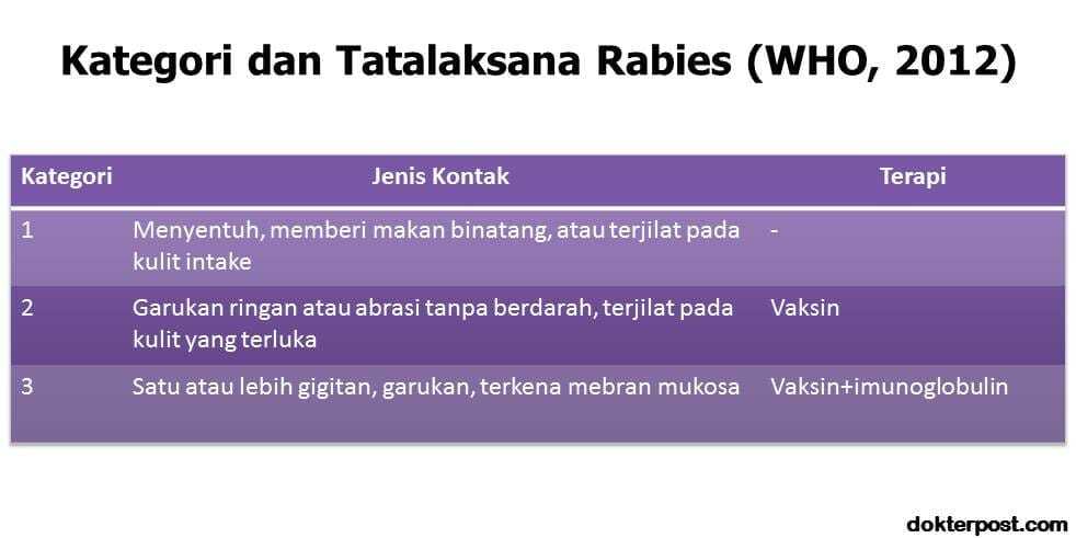 Kategori tatalaksana rabies stripalllossy1ssl1