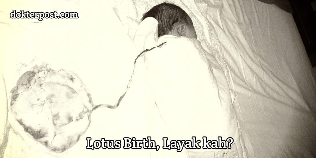 Lotus birth sai stripalllossy1ssl1