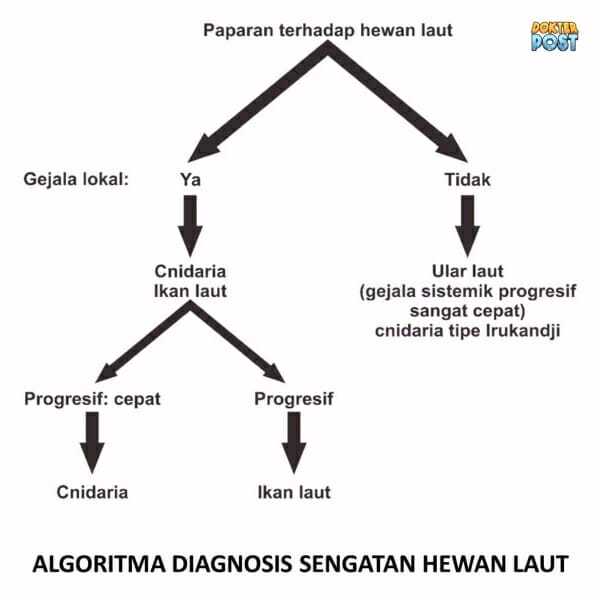 Sengatan hewan laut stripalllossy1ssl1