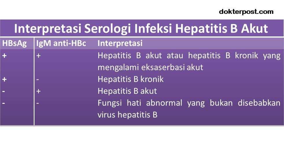 Serologi hepatitis B stripalllossy1ssl1