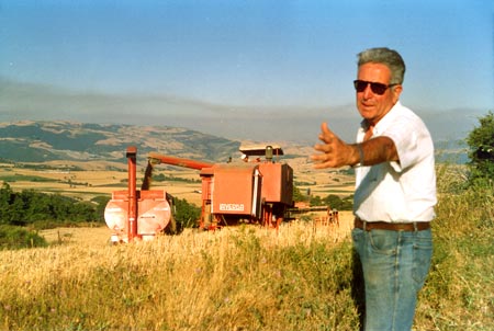 Nostro padre Felice, durante la mietitura