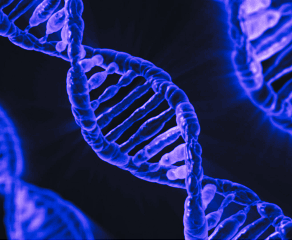 Regenerative Medicine