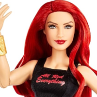 WWE Superstars Signature Eva Marie