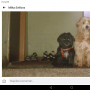 Emilia S., Altenpflege, Behindertenbetreuung - Bratislava 1 - Staré Mesto