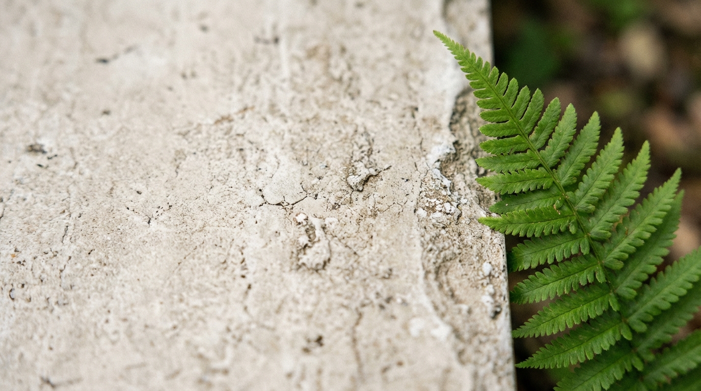Makro ujęcie powierzchni płyty gresowej Officine w odcieniu Romantic (jasny beż), ukazujące jej subtelną, niejednolitą fakturę imitującą przetarty beton. Na krawędzi płyty widoczny jest liść paproci, tworzący kontrast między surową estetyką materiału a delikatnością natury. Zdjęcie wykonane z małą głębią ostrości, skupione na detalach struktury gresu.