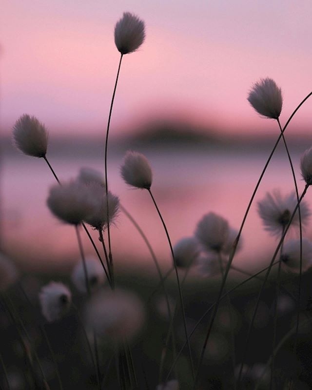 header-img